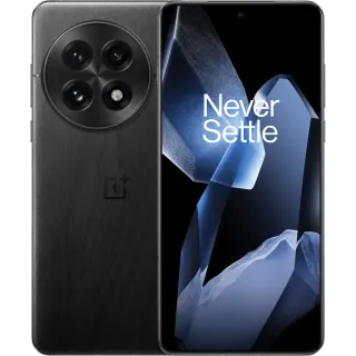 OnePlus 13