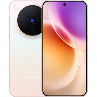 vivo X300